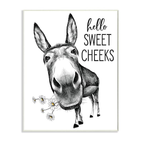 Stupell Industries "Hello Sweet Cheeks Animal Humor Donkey Daisies" by Lettered and Lined Unframed Print Animal Wall Art 13 in. x 19 in.