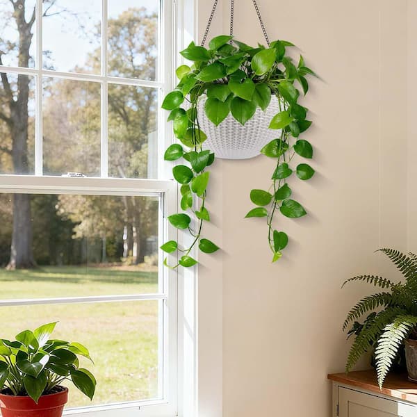 White Resin Hanging Basket, Hanging Planters for Indoor Outdoor Plants,  Hanging Flower Pots with Self Watering, 2-Pack AAP383065 - The Home Depot