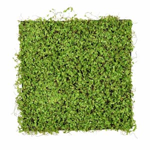 19 .5 in. Green Artificial Leaves Square Matt Plant