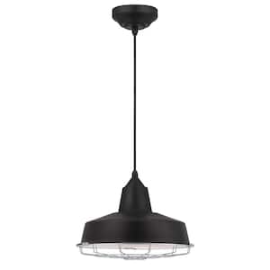 Academy 75-Watt Equivalent Integrated LED Black Pendant with Removable Chrome Cage
