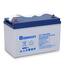 https://images.thdstatic.com/productImages/ee56514d-f9b4-4610-9024-a023fd144243/svn/renogy-solar-power-accessories-rbt100gel12-g1-64_65.jpg