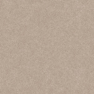 Coastal Charm I Color Ecru Beige 42 oz. Nylon Texture Installed Carpet