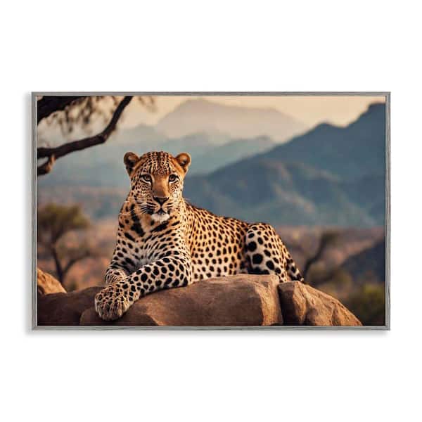 Stupell Industries Intense Watching Cheetah by Noah Bay Gray Framed Animal Giclee Art Print 20 in. x 30 in.