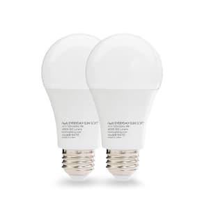 NorbEVERYDAY 9-Watt Equivalence-Everyday-Sun-Soft A19 4000K LED Bulb(2-Pack)