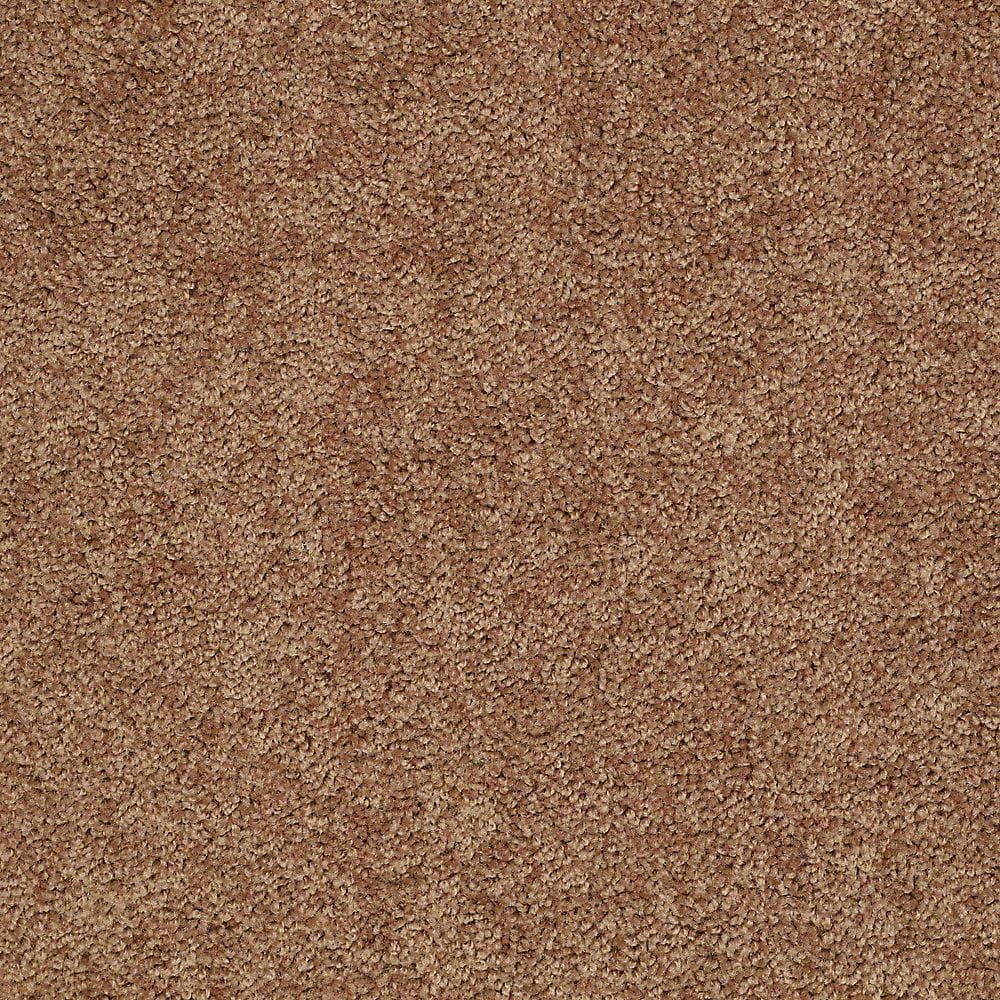 Have a question about TrafficMaster 8 in. x 8 in. Texture Carpet Sample