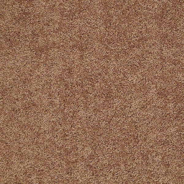 Reviews for TrafficMaster 8 in. x 8 in. Texture Carpet Sample ...