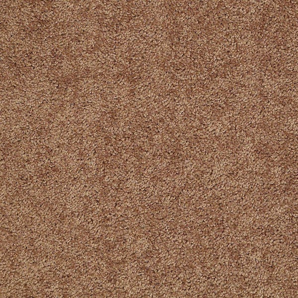 TrafficMaster 8 in. x 8 in. Texture Carpet Sample - Alpine - Color Harmony