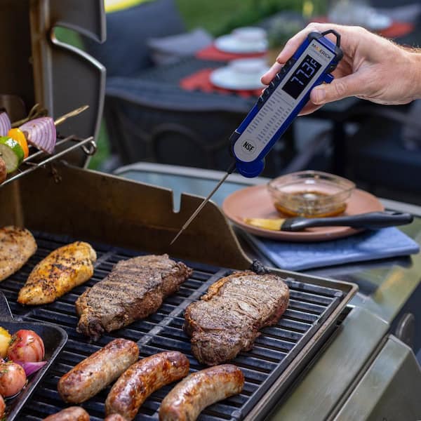 Maverick Blue Pro-Temp Professional Thermocouple Thermometer PT
