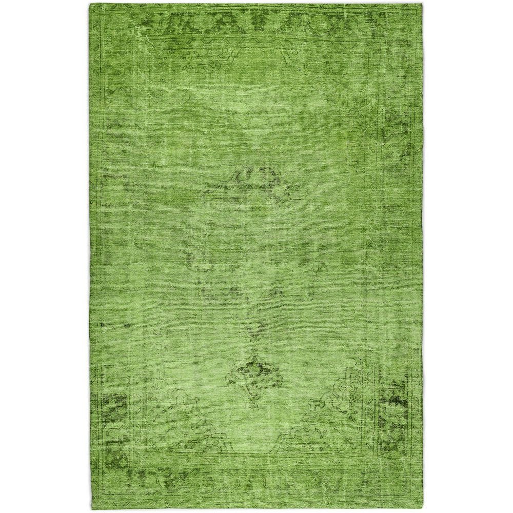 Dream Shag Premium Machine Washable Abstract ADS658 Aloe 10 ft. x 14 ft. Area Rug price history on PriceWatchPro