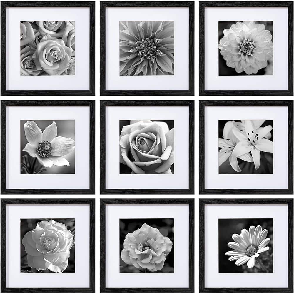 12 in. x 12 in. Black Picture Frames (Set of 9)