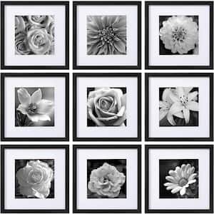 12 in. x 12 in. Black Picture Frames (Set of 9)
