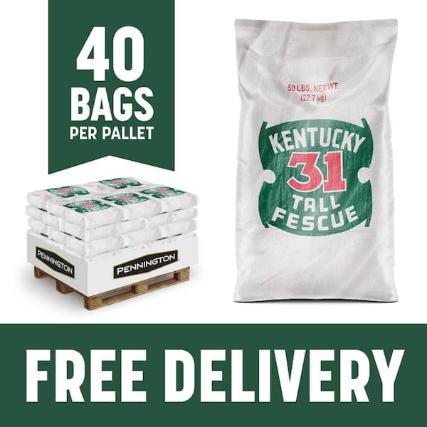Kentucky 31 Uncoated Tall Fescue 50 lbs. 20,000 sq. ft. Grass Seed Pallet (40-Bags)