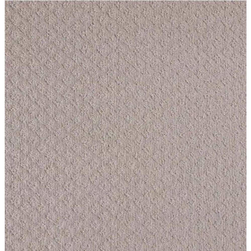 8 in. x 8 in. Pattern Carpet Sample - Bradlow - Color Manatee price history on PriceWatchPro