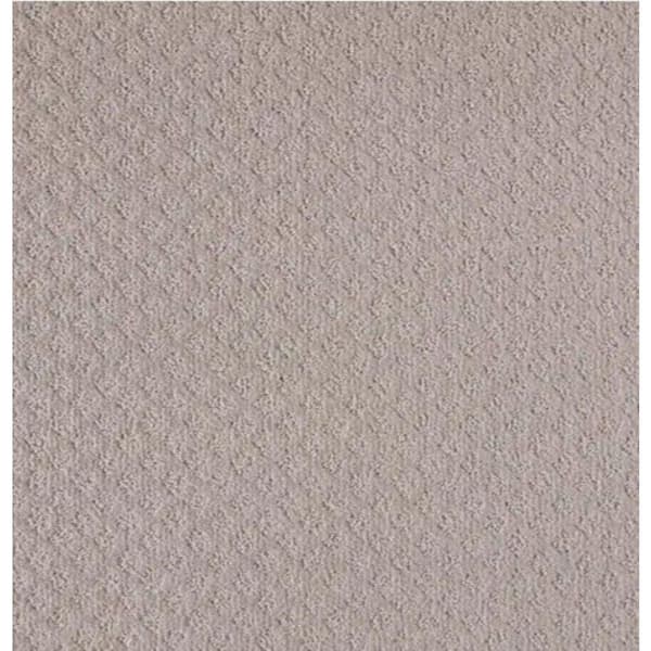 Home Decorators Collection 8 in. x 8 in. Pattern Carpet Sample - Bradlow - Color Manatee