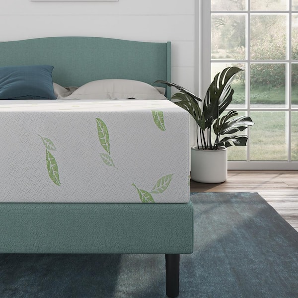Anula Queen Medium Green Tea Memory Foam 12 in. Mattress