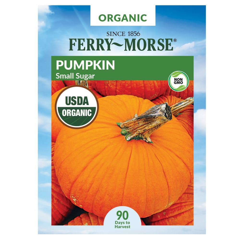 Ferry-Morse Organic Pumpkin Small Sugar Fruit Seed 0922