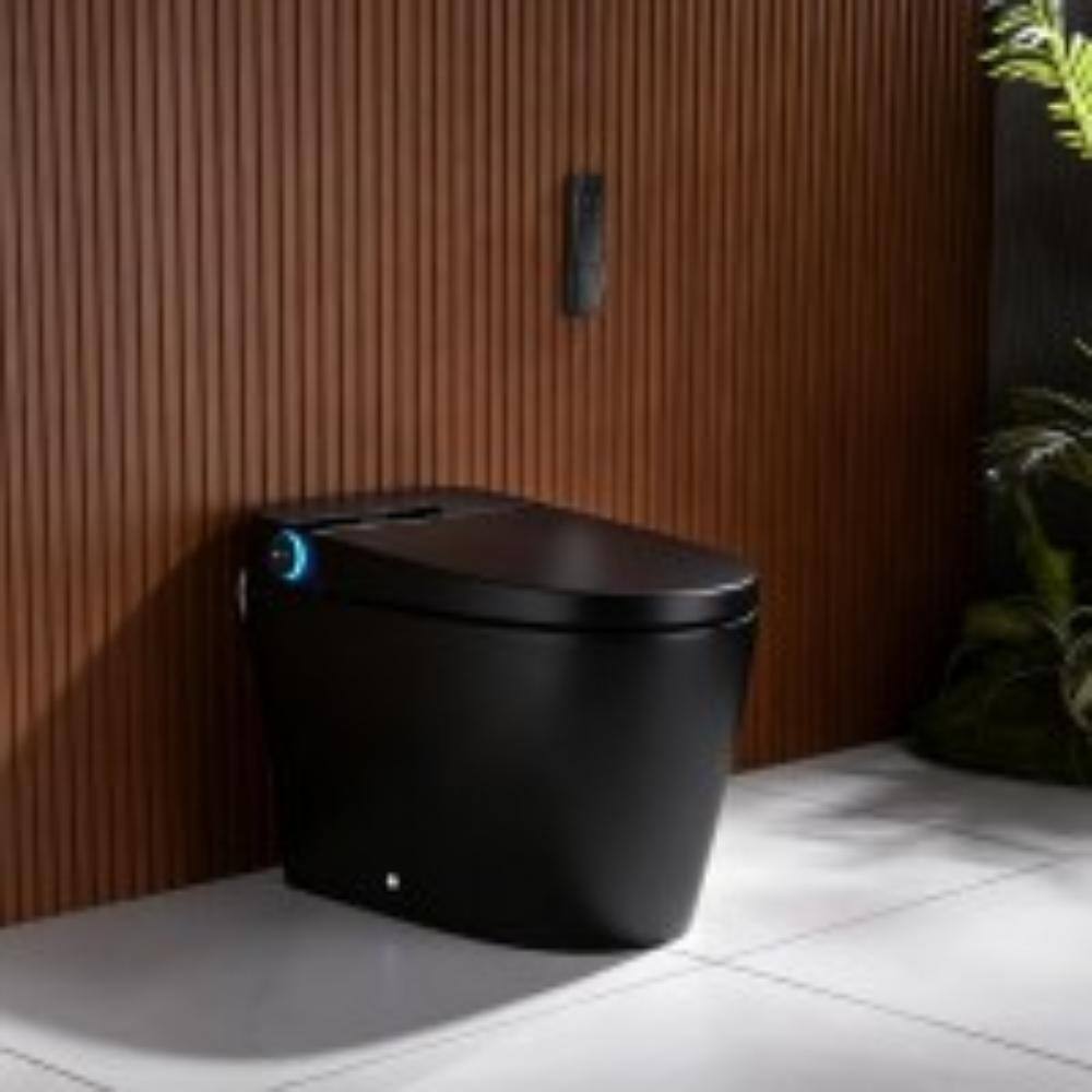 Tankless Smart Bidet Toilet 1.28/1.1GPF in Black with Foot Sensor, Warm Water, Heated Seat, Remote Control price history on PriceWatchPro