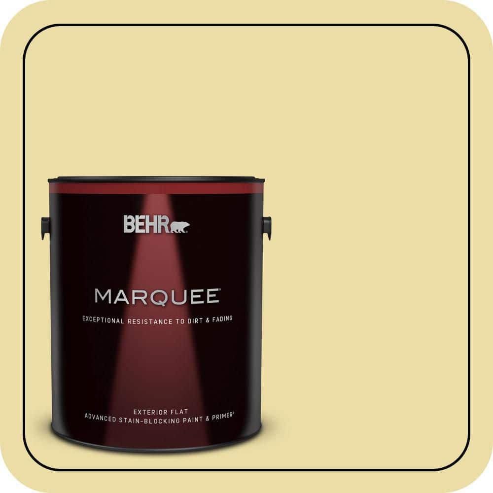 1 gal. #PPU8-12 Refreshing Tea Flat Exterior Paint & Primer price history on PriceWatchPro