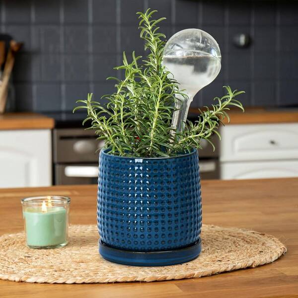 Large Midnight Blue Ceramic Indoor/Outdoor Planter with Tray (5.8