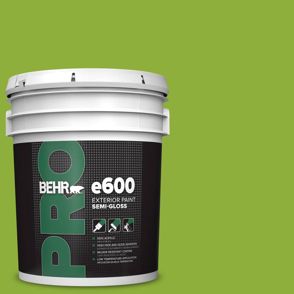 5 gal. #420B-6 New Green Semi-Gloss Exterior Paint price history on PriceWatchPro