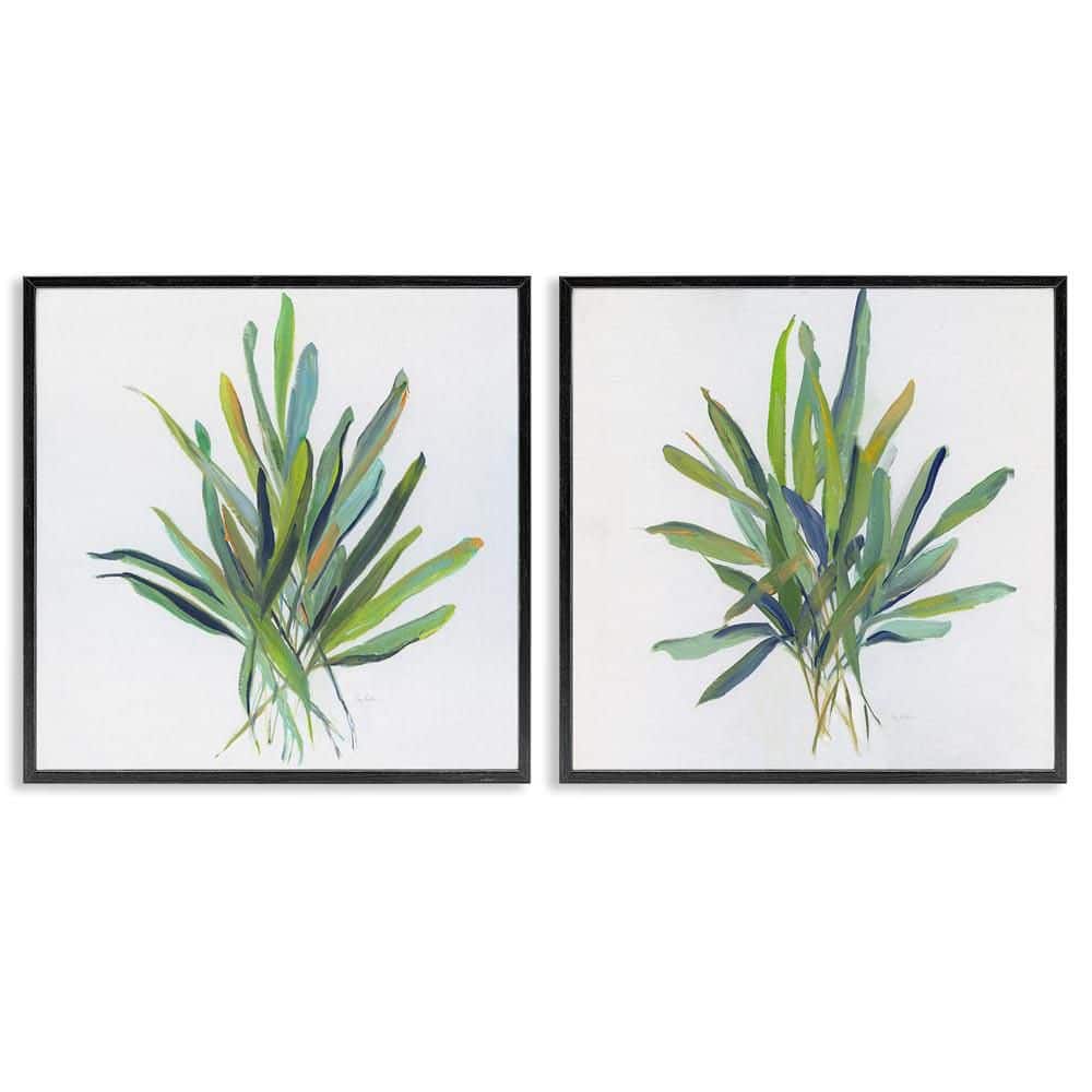 Layered Plant Sprigs by Sally Swatland 2 Pieces Black Framed Nature Giclee Art Print 24 in. x 24 in. price history on PriceWatchPro