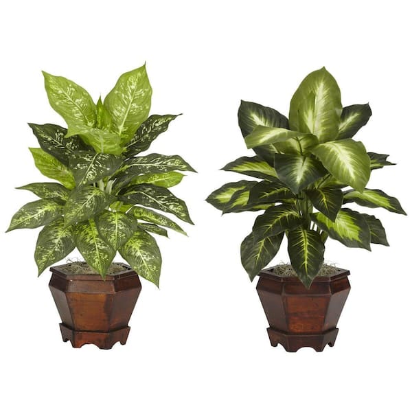 Nearly Natural 20.5 in. Artificial Tabletop H Green Dieffenbachia with Wood Vase Silk Plant (Set of 2)