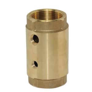 1 in. Two-Hole Control Center Check Valve