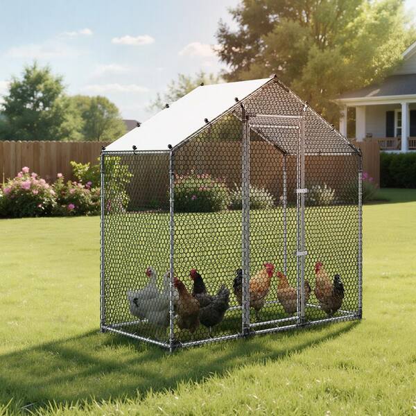 VEVOR Large Metal Chicken Coop, 6.6 x 3.3 x 6.6 ft. Walk-in