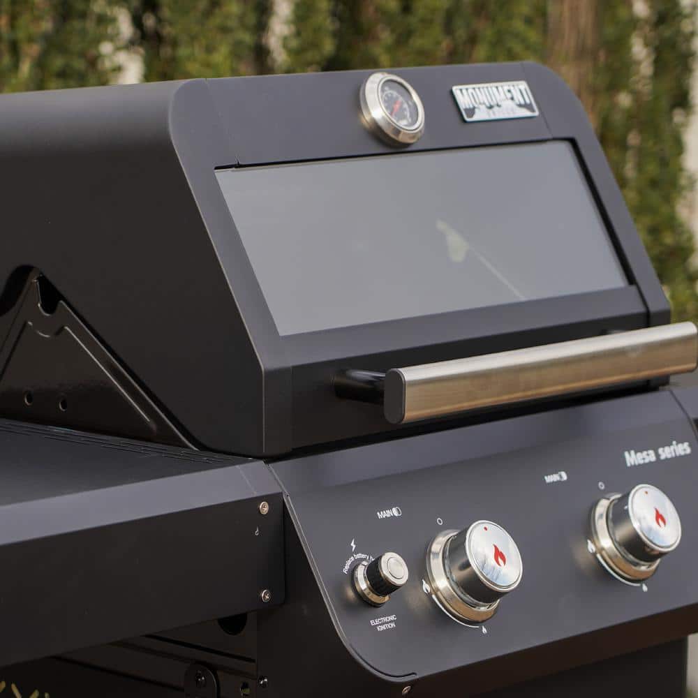 Mesa Black 2-Burner Stainless Steel Propane Gas Grill with LED Controls