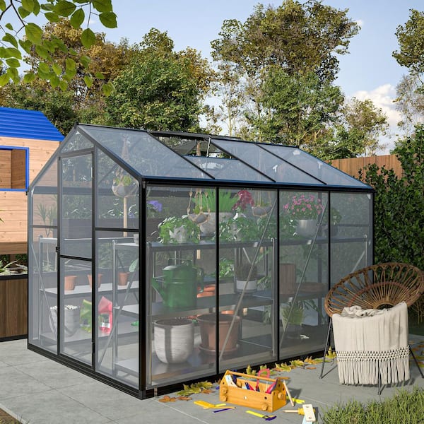 GHgo, 6 x 8 ft. Polycarbonate, Quick Setup Structure and Roof Vent, Aluminum Large Walk-in Greenhouse, Black
