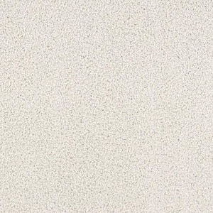 8 in. x 8 in. Texture Carpet Sample - Around The World - Color Ivory
