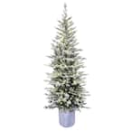 6 ft. PreLit Potted Flocked Arctic Fir Pencil Artificial Christmas Tree