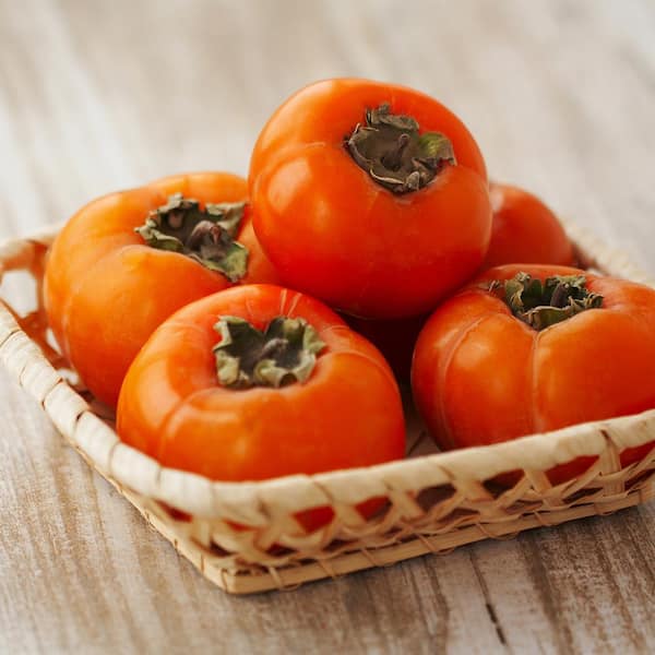 Fuyugaki Persimmon Non Astringent Fruit Tree
