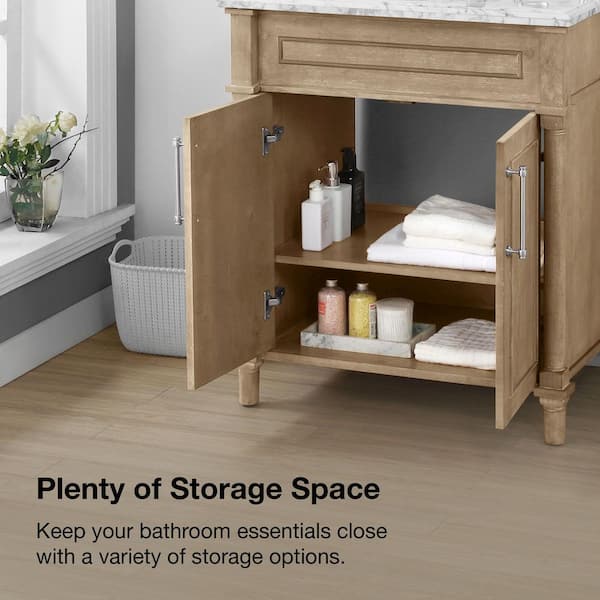 Home Decorators Collection Aberdeen 30 in. Single Sink