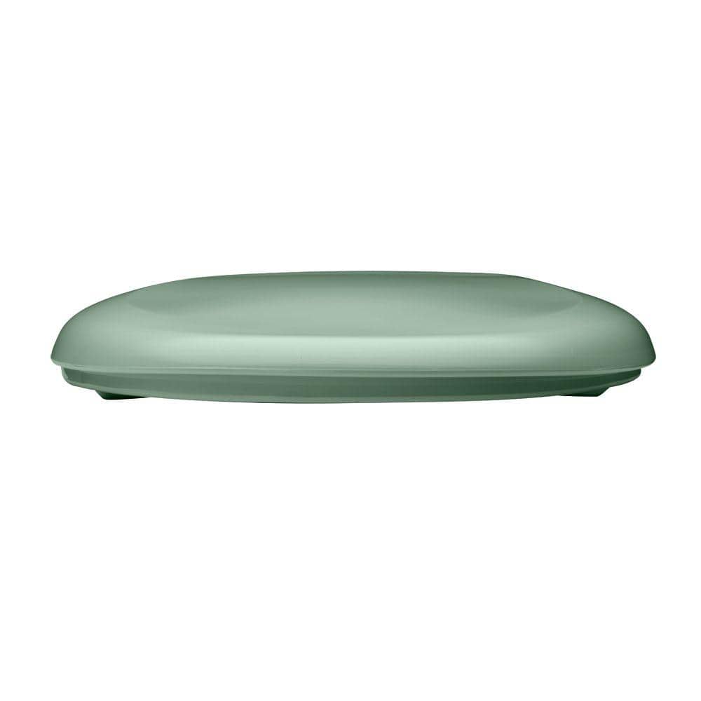 Desert Bloom Gloss Finish Elongated Plastic Toilet Seat with Soft Close Lid