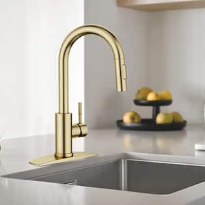 Single Handle Pull Down Sprayer Kitchen Faucet with Removable Deck Plate Swivel Spout in Gold