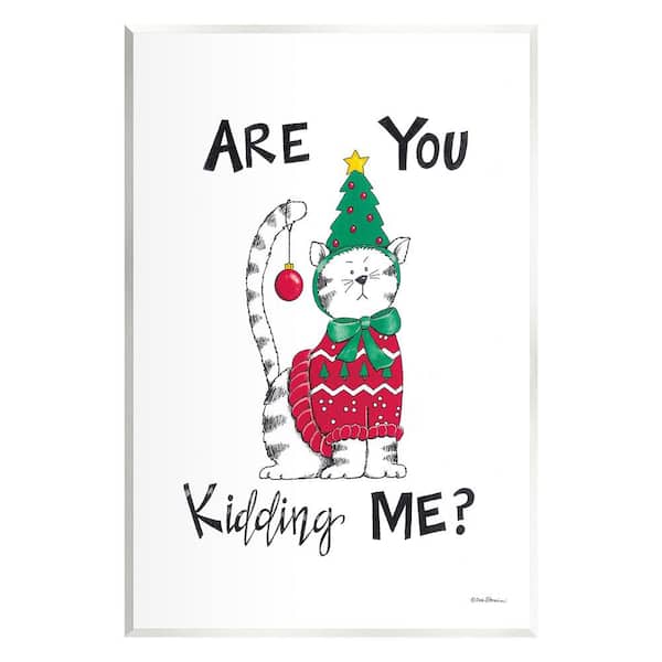 Stupell Industries Cat in Christmas Costume by Deb Strain 1 Piece Unframed Graphic Print Animal Poster Art Print 19 in. x 13 in.