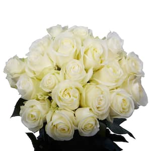 50 Stems - Fresh Cut White Roses
