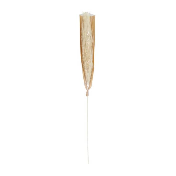 58 in. Tall Pampas Grass Natural Foliage (1 Bundle)