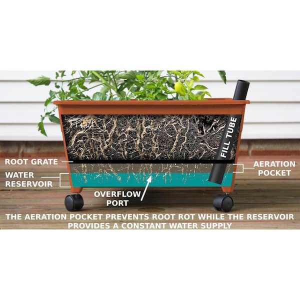  The Lakeside Collection Self Watering Vegetable Planter Box  with Trellis on Wheels - Mobile Garden : Patio, Lawn & Garden