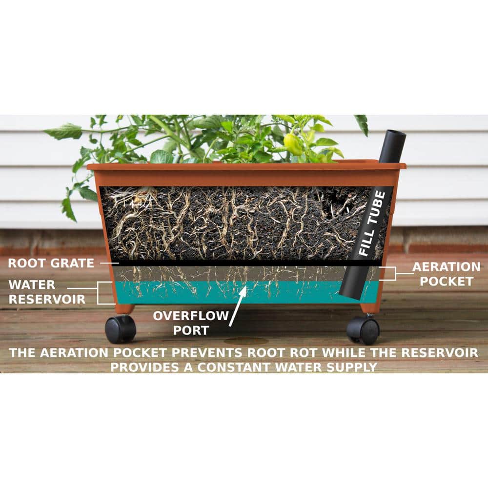 Terracotta Resin Elevated Garden Box with Casters