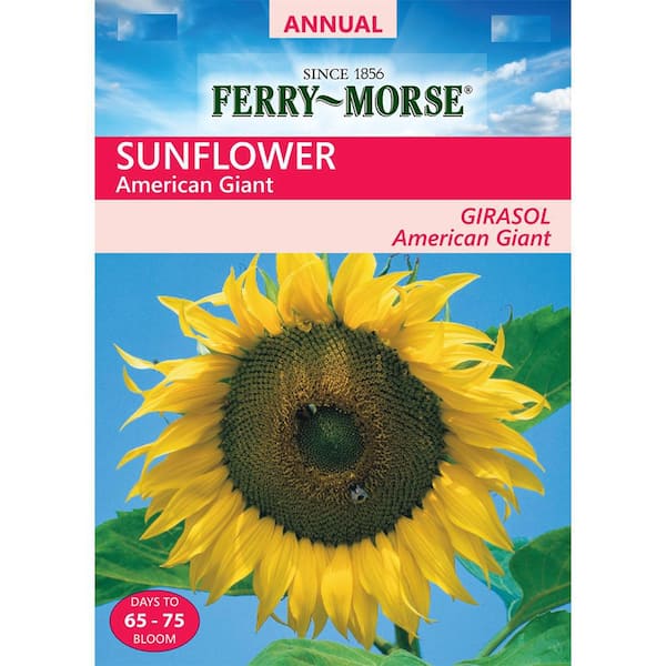 Ferry-Morse Sunflower American Giant Seed