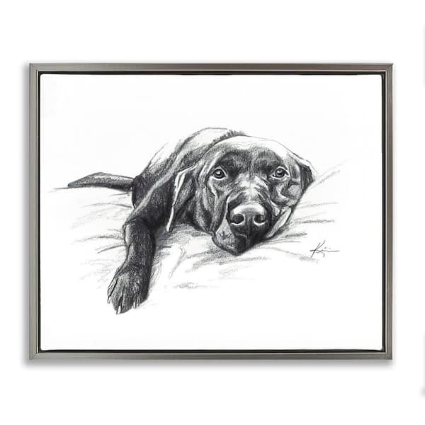Stupell Industries Naptime Black Labrador by Lindsay Kivi Fine Art Gray Floater Frame Animal Graphic Art Print 25 in. x 31 in.