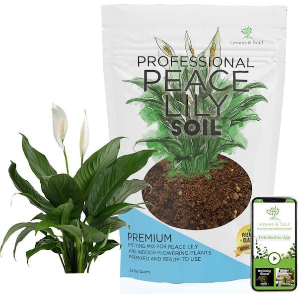 LEAVES AND SOUL Professional Peace Lily Soil : 2.2 Qt Ready to Use : Peat Moss, Coco Coir, Perlite, Dolomite : Made in USA