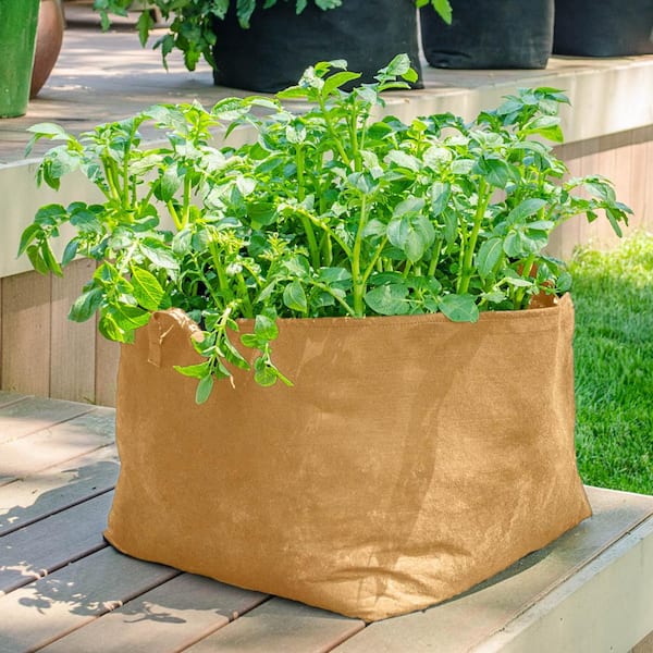 VIVOSUN 5-Pack 2 Gallon Grow Bags, Fabric Pots with Self-Adhesion Sides for Transplanting