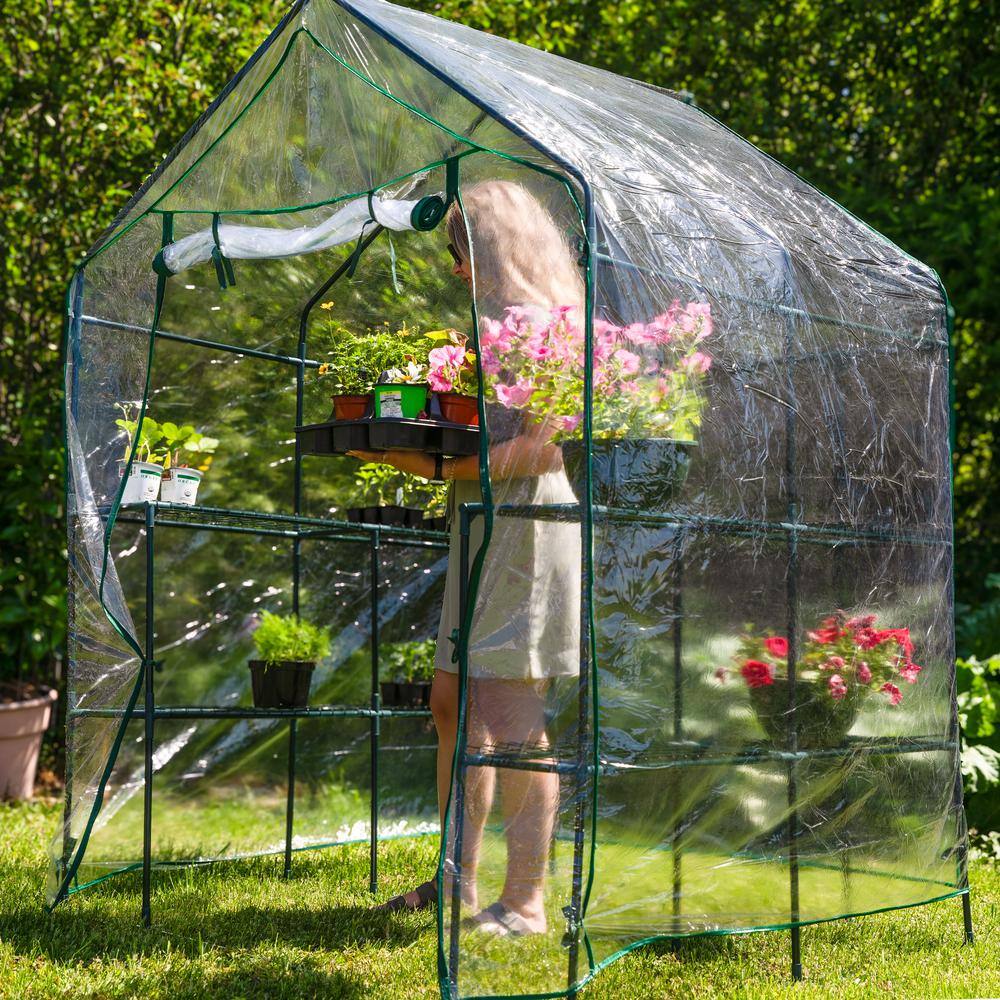 Clear PVC Walk-In Greenhouse with 4 Steel Shelves