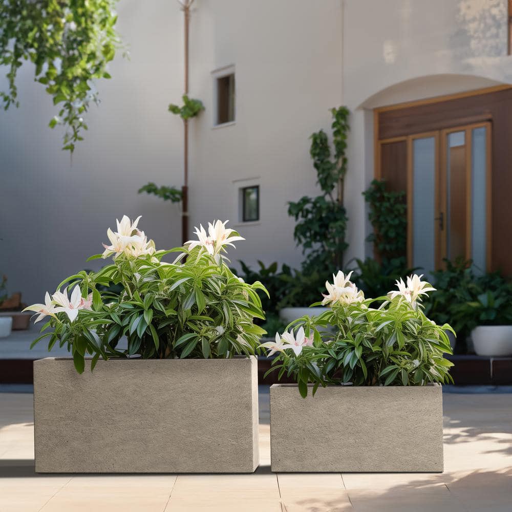 Sapcrete Modern 12 in., 16.5 in. High Large Tall Elongated Square Light  Gray Outdoor Cement Planter Plant Pots Set of 2 SA0264SA-P8021-2 - The Home  