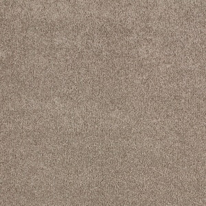 Cleoford Greetings Brown 47 oz. Triexta Texture Installed Carpet
