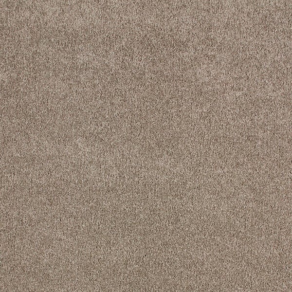 Lifeproof with Petproof Technology Cleoford Greetings Brown 47 oz. Triexta Texture Carpet - Installation Required