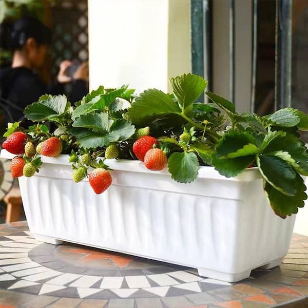17 in. L x 7.2 in. W x 5.5 in. H White Plastic Window Box Planter
